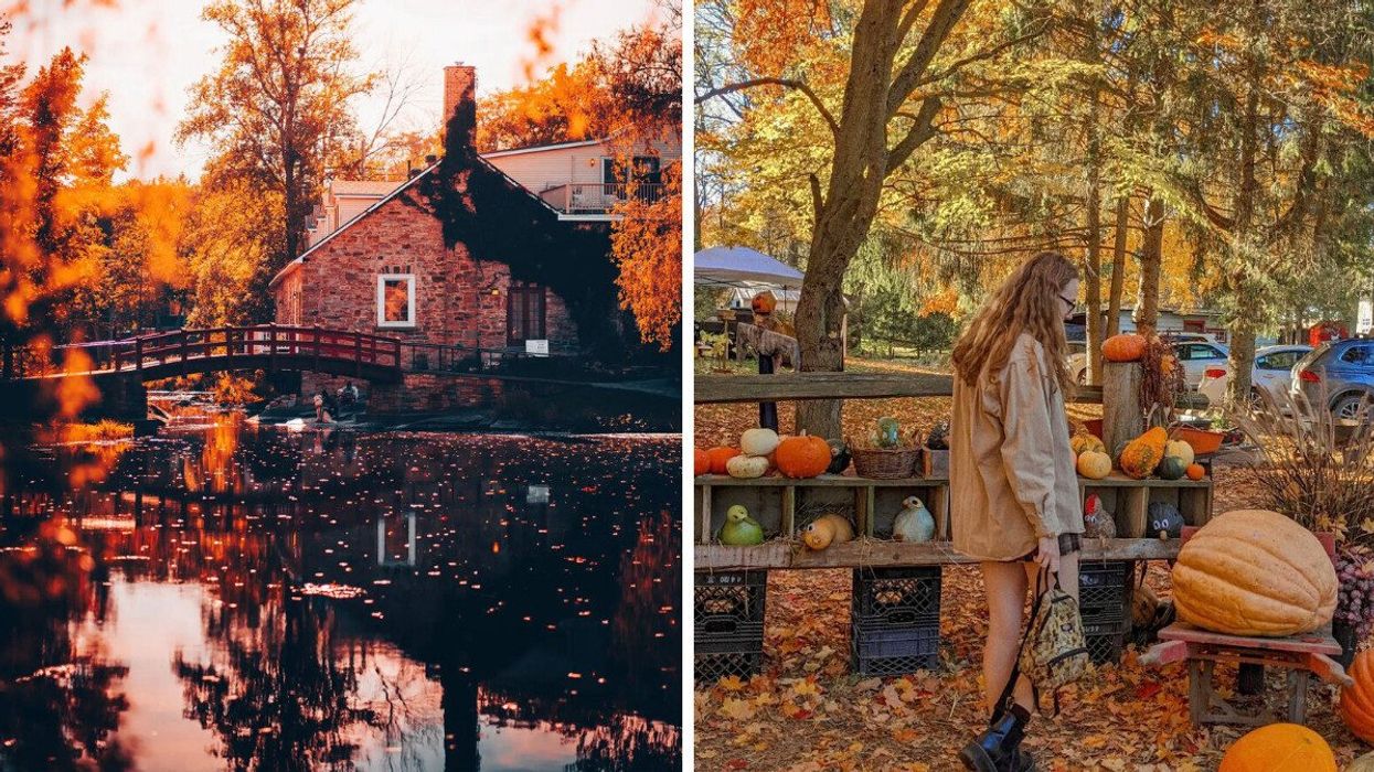 A historic building and bridge during the fall. Right: A person wandering through fall scenery.