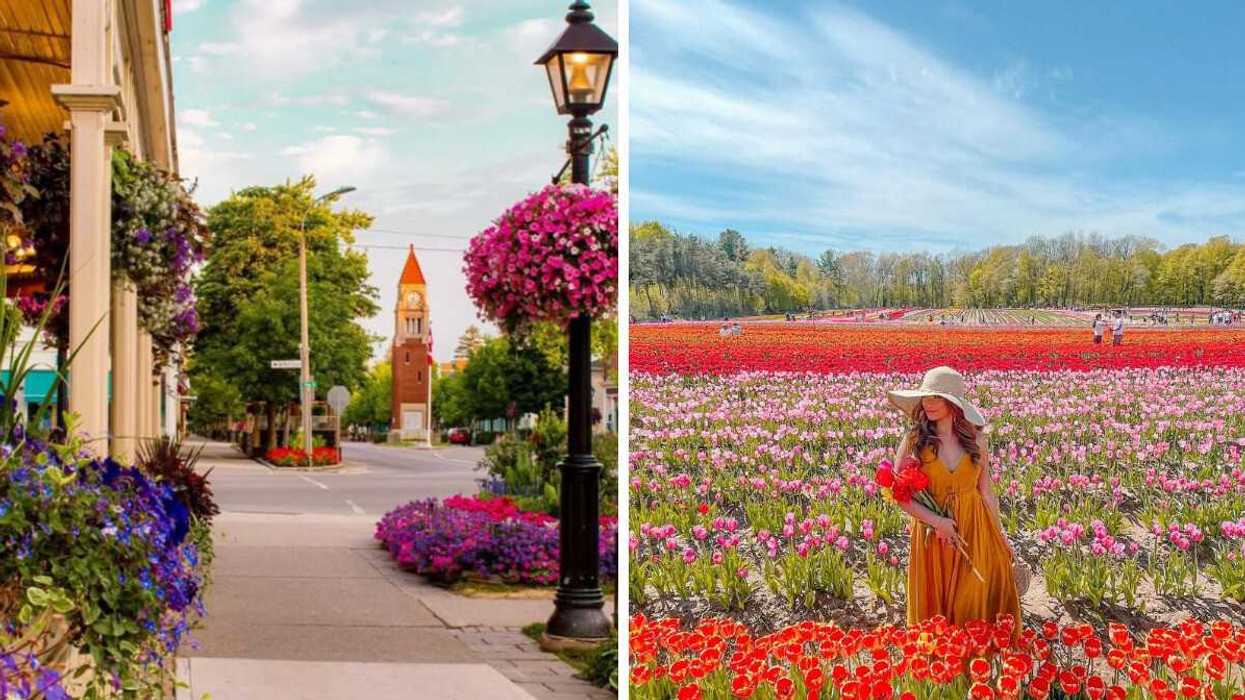 A historic downtown. Right: A person in a tulip field.