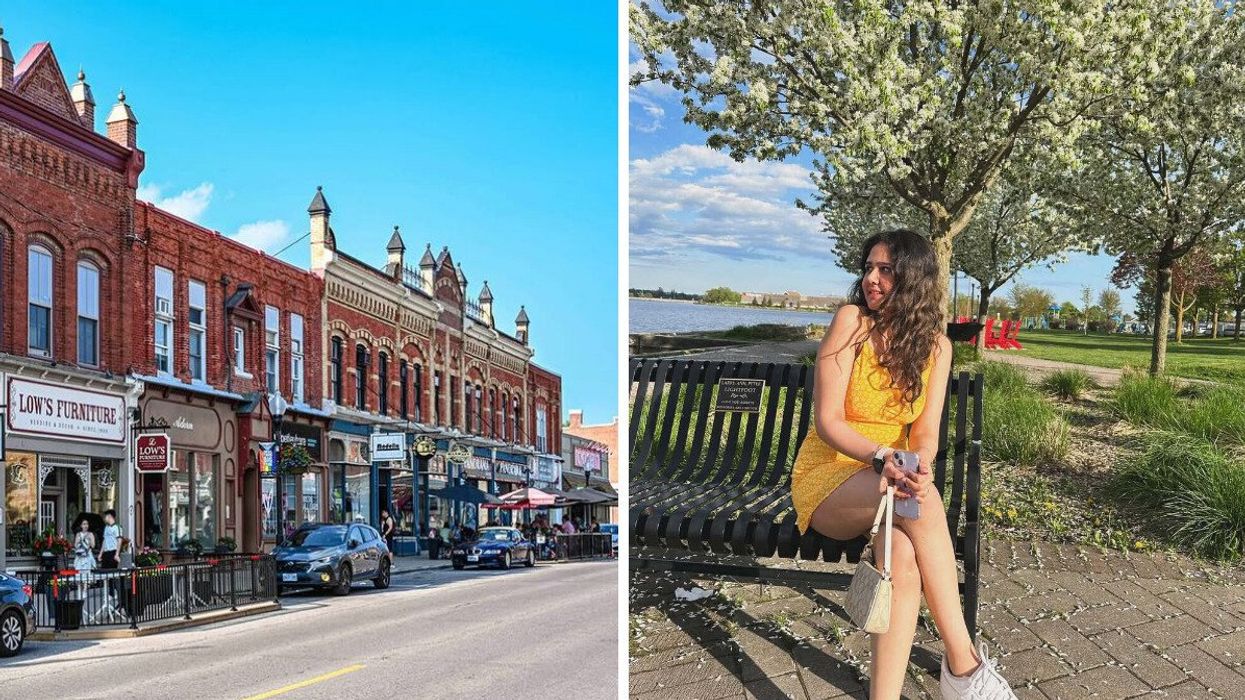A historic main street. A person sitting by a blossoming tree.