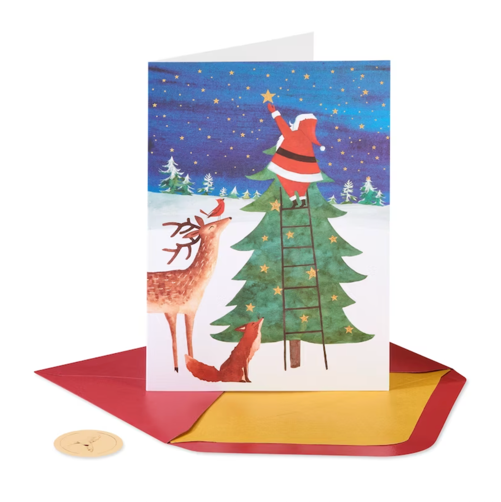 A holiday greeting card from Indigo with a Santa reaching for the stars with woodland friends.
