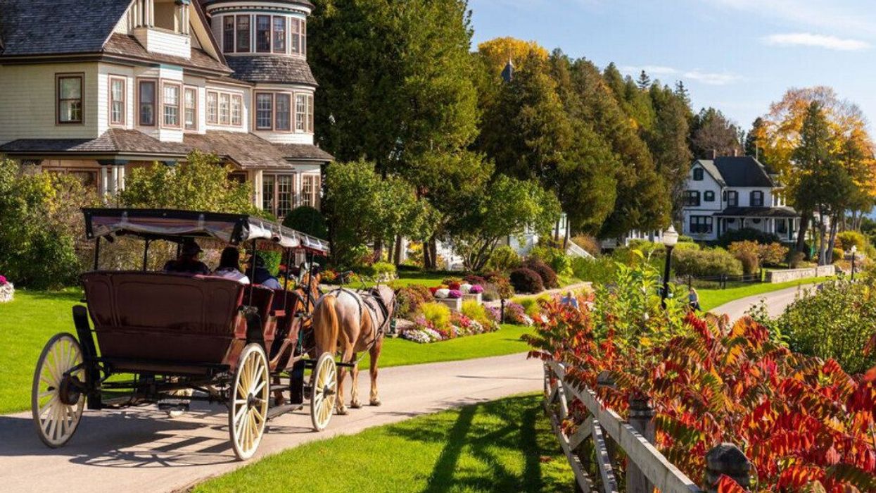 A horse-drawn carriage travelling down a path.