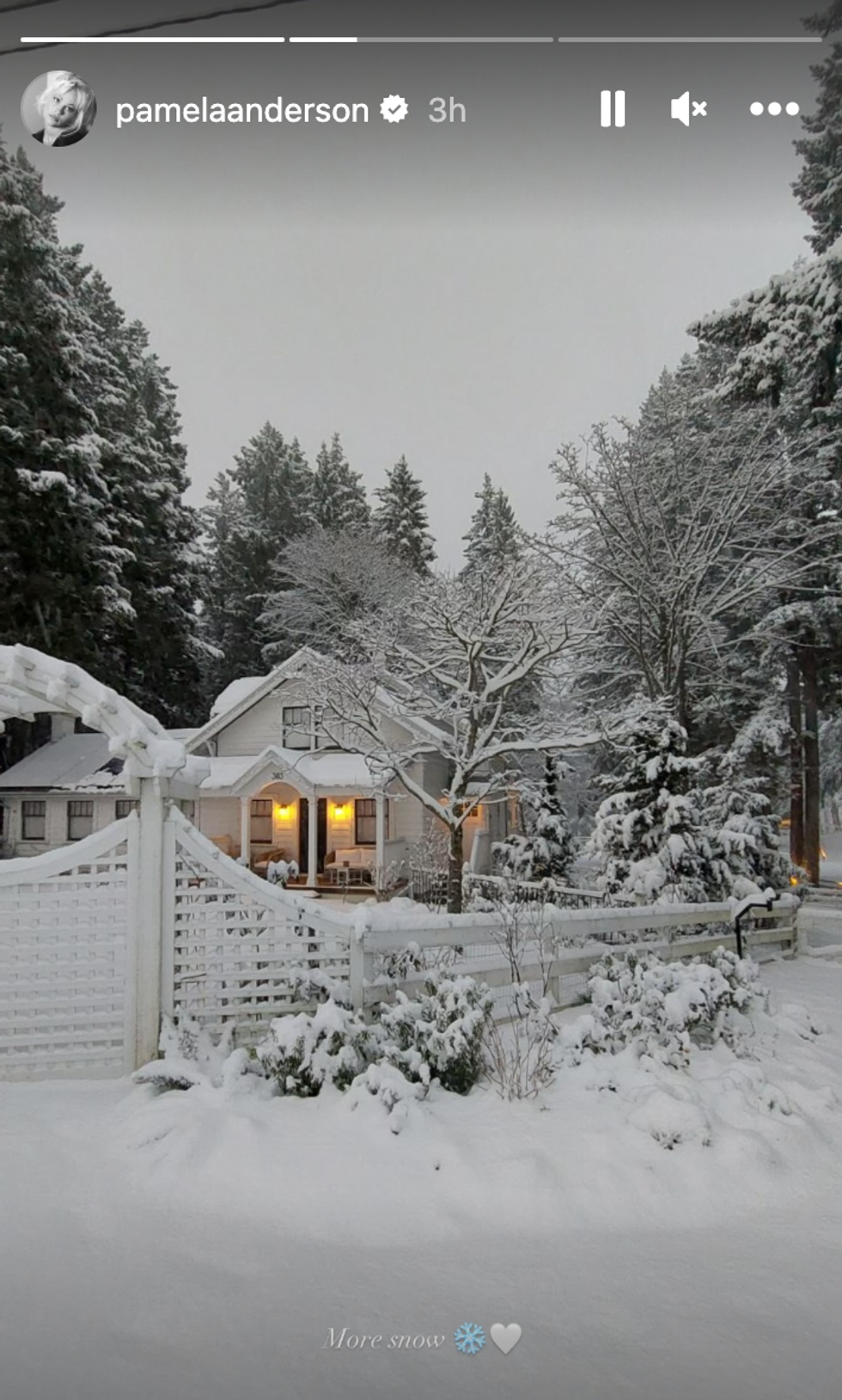 A house and trees covered in snow.