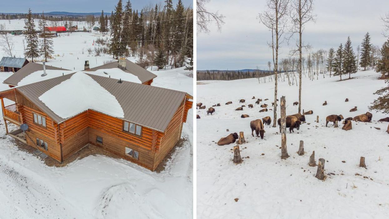 A Huge Buffalo Ranch In BC Is For Sale & The House Has A Bedroom For Each Day Of The Week