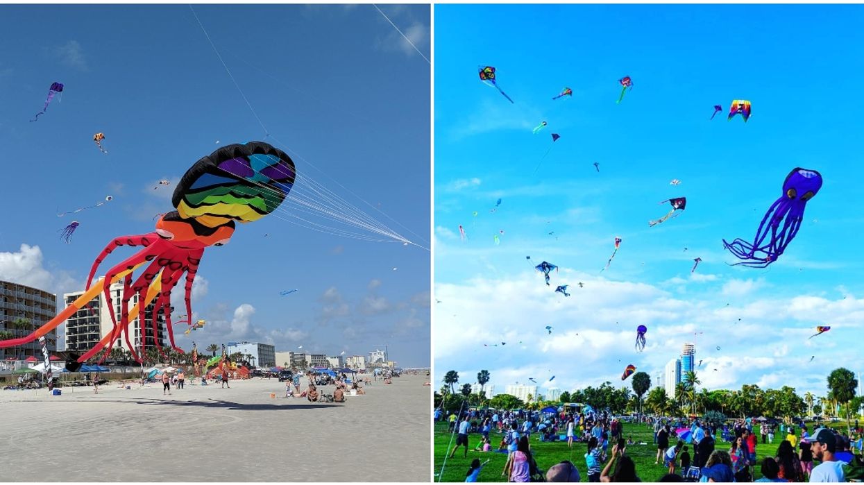 A Huge Kite Festival Is Coming To Miami In February & Admission Is Free
