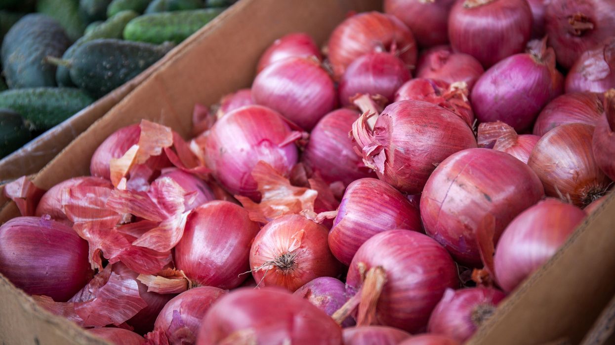 A Huge Onion Recall Has Been Issued In Canada Because Of Salmonella Contamination