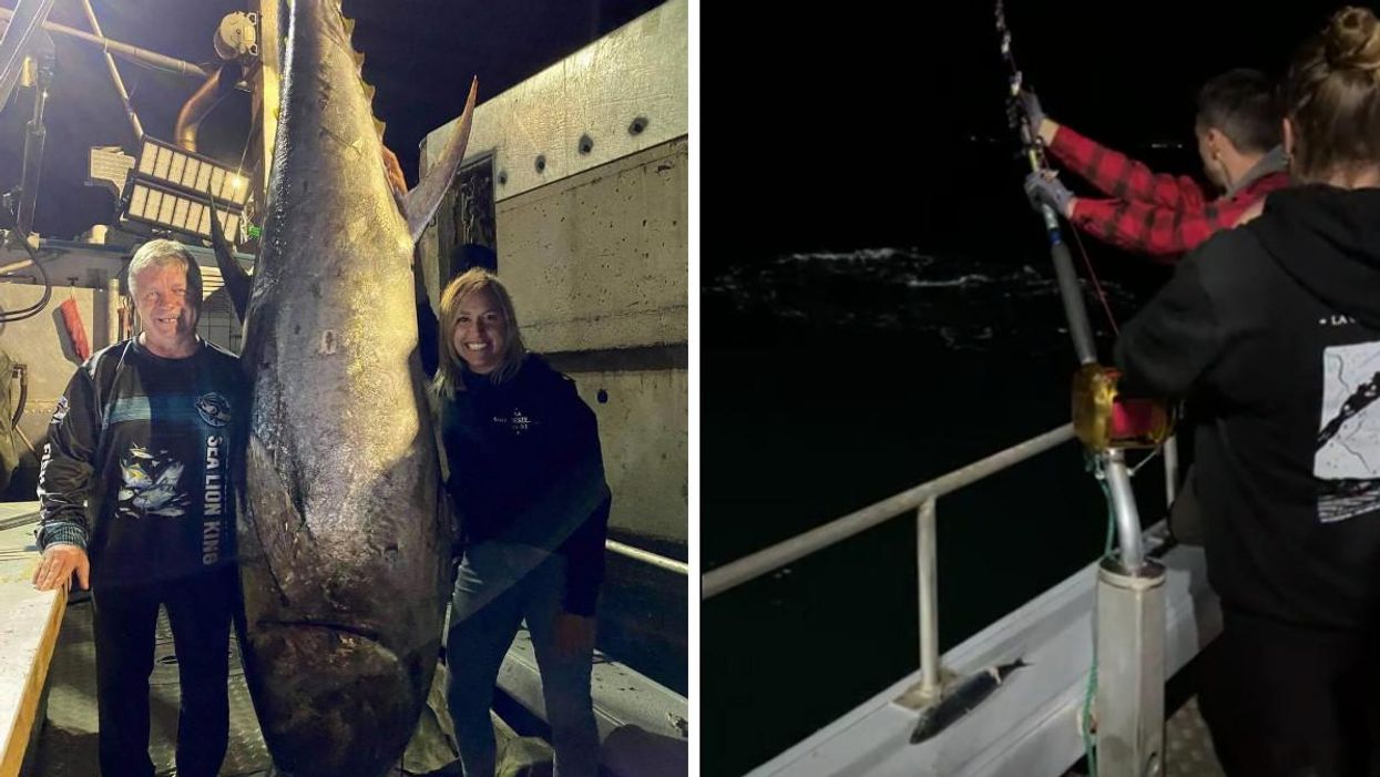 A Human-Sized Tuna Was Caught Off The Coast Of Quebec & The Photos Are Incredible