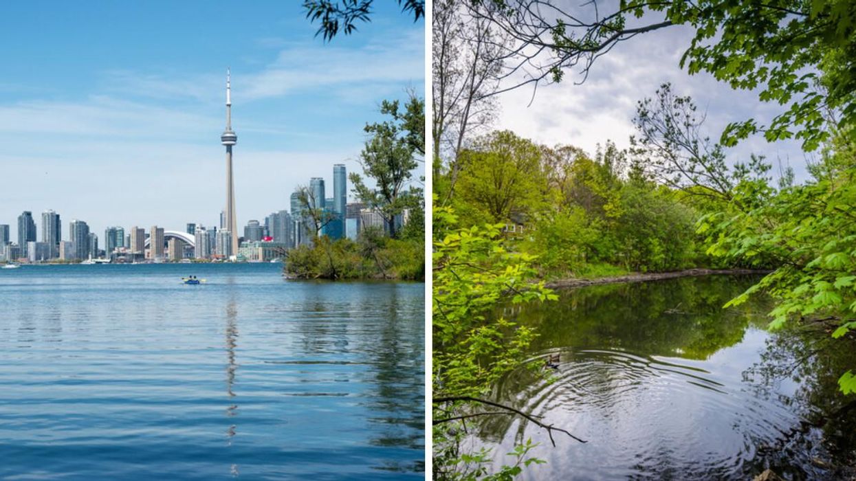 A Human West Nile Virus Case Was Just Reported In Toronto & It's The First Case In 2021