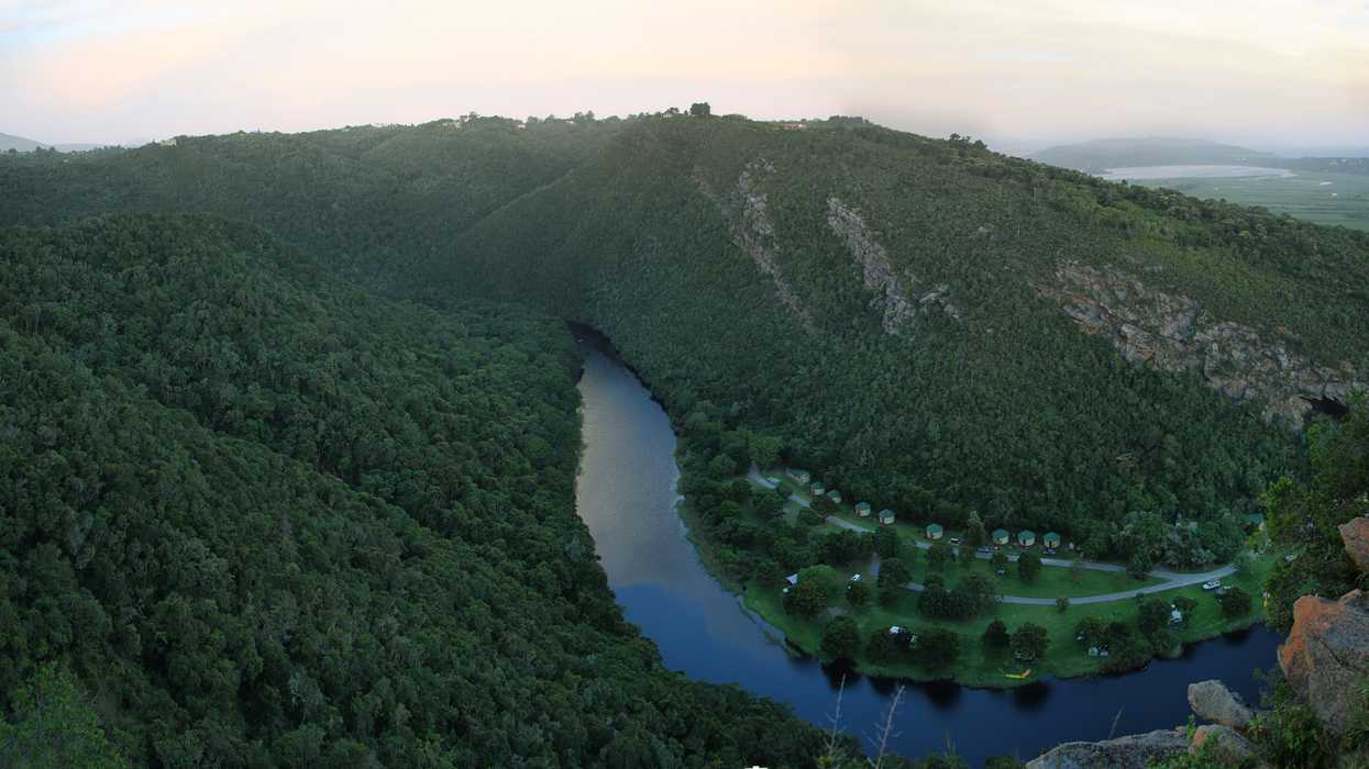 A Kingfisher Trail Tree Fell & Killed A 5-Year-Old Boy On Tuesday