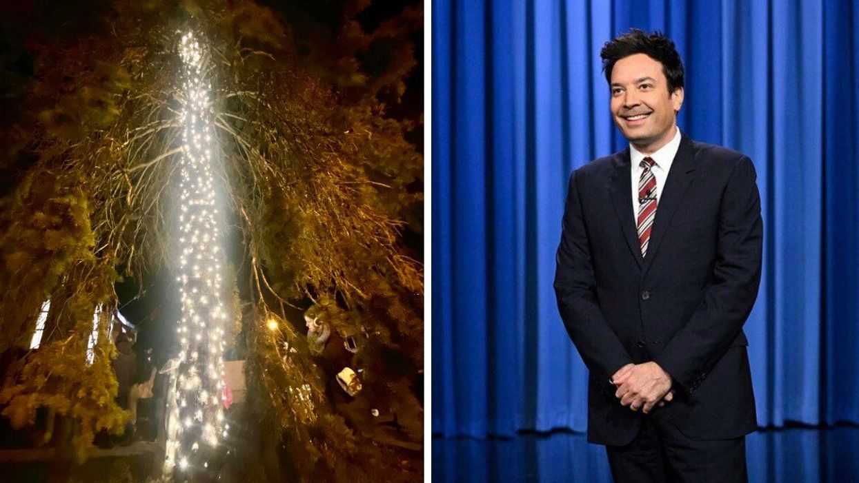 A large tree lit up by Christmas lights on its trunk. Right: Jimmy Fallon standing in front of a blue curtain.
