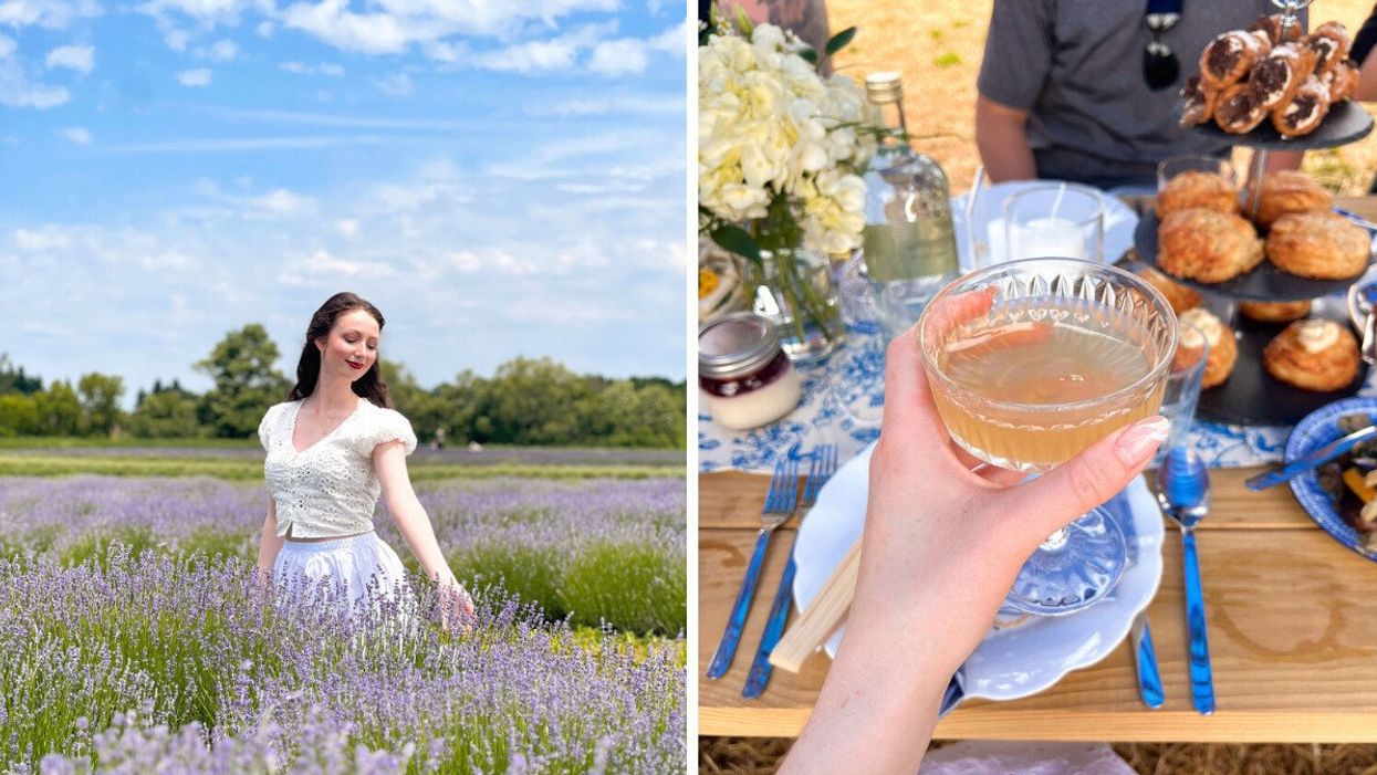 A lavender farm near Toronto. Right: A hand holding a drink at a picnic.