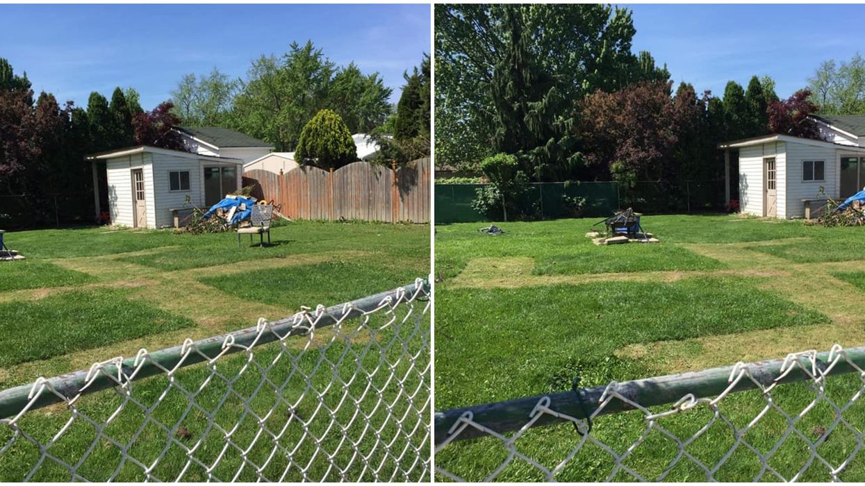 A Lawn Swastika Mowed Into An Ontario Yard Sparked A Peaceful Protest And Police Action
