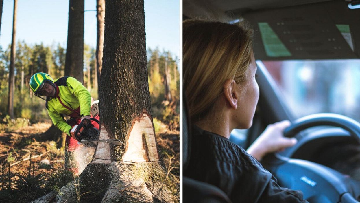 A logger cutting a tree. Right: A woman driving a vehicle.