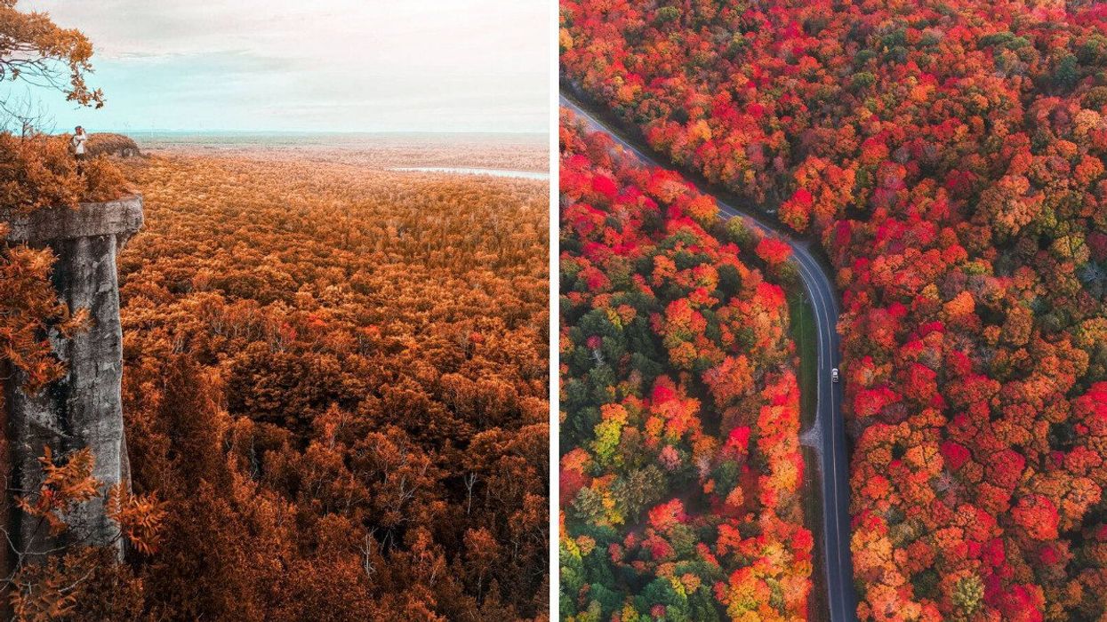 A lookout over fall colours. An aerial view of a road surrounded by autumn colours.