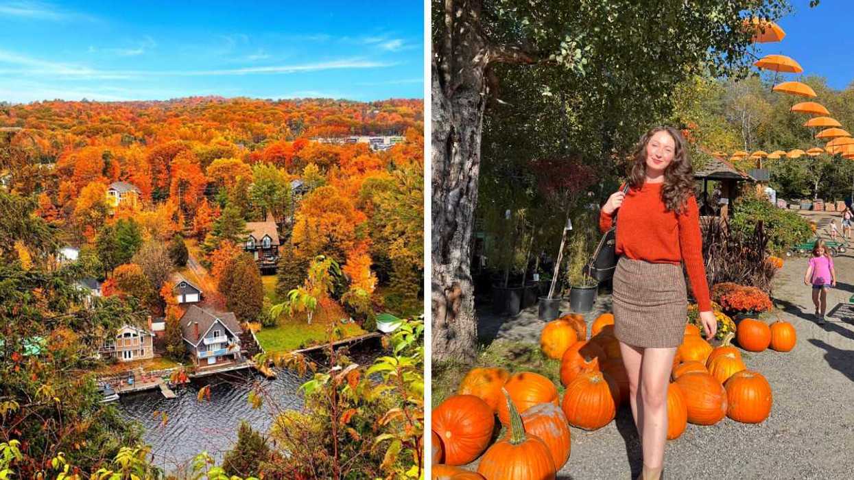 A lookout over fall colours. Right: A person standing by pumpkins.