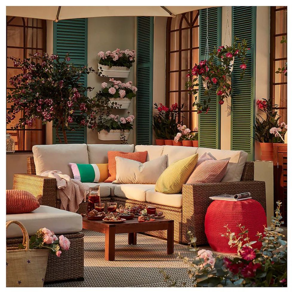 A lounging Soller\u00f6n in the wild.