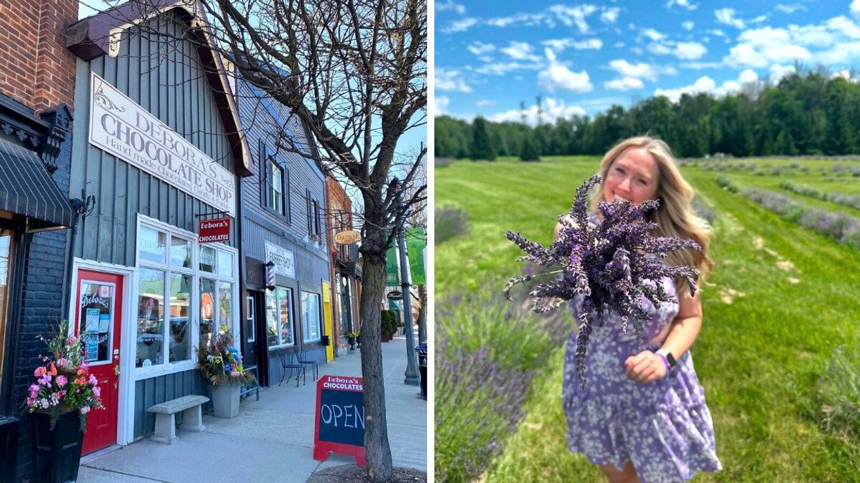 A Main Street of a town. Right: A person holding a lavender bouquet.