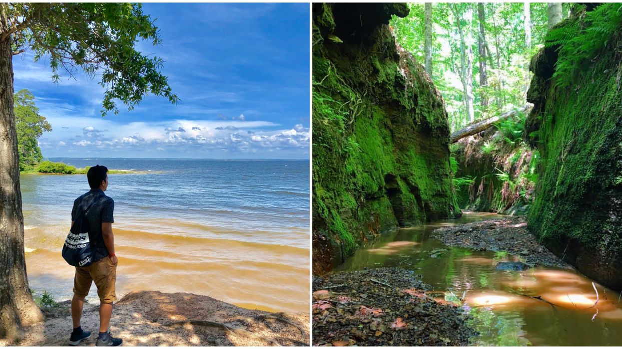 A man by a body of water at Sabine National Forest. Right: A section of the Sabine National Forest.