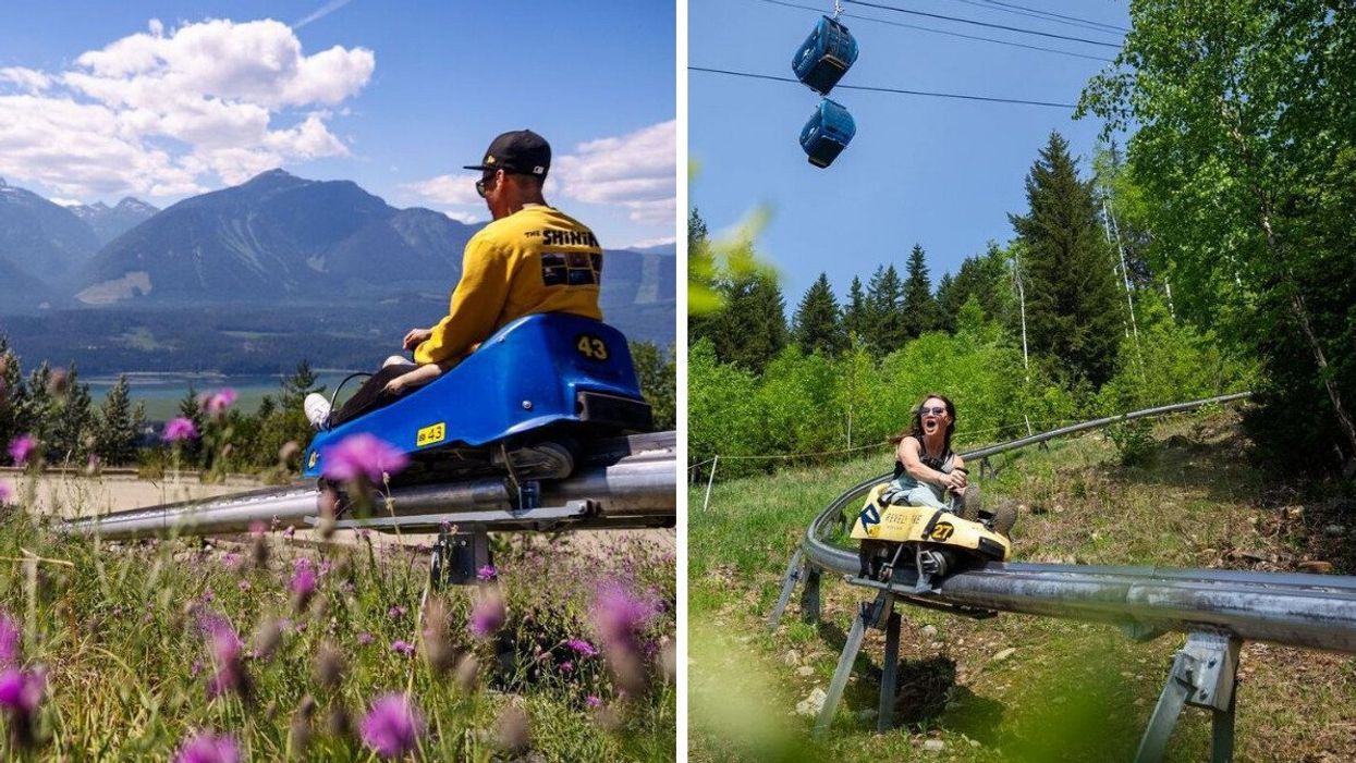 A man in a blue roller coaster car surrounded by flowers and the mountains. Right: A woman going down a roller coaster surrounded by trees.
