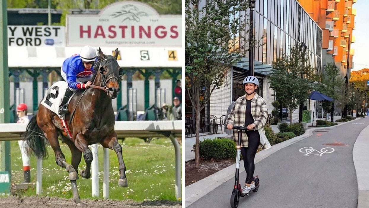 A man on a brown horse on a race track with a board behind him that says HASTINGS. Right: A woman in a plaid shirt and helmet riding an e-scooter on a bike path.