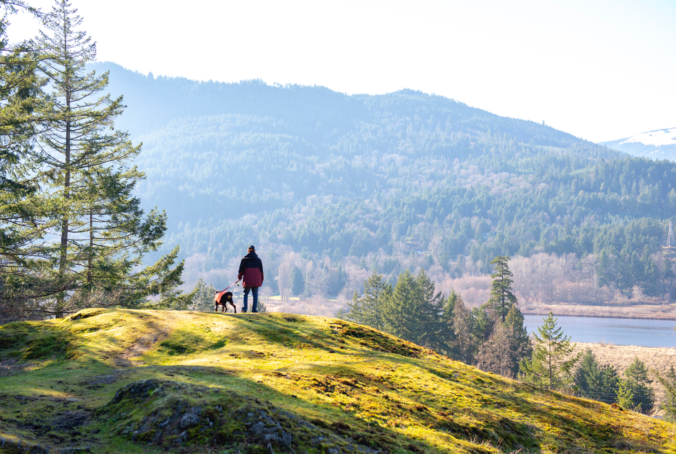 A man walking alongside his dog on a hike on Vancouver Island, BC.