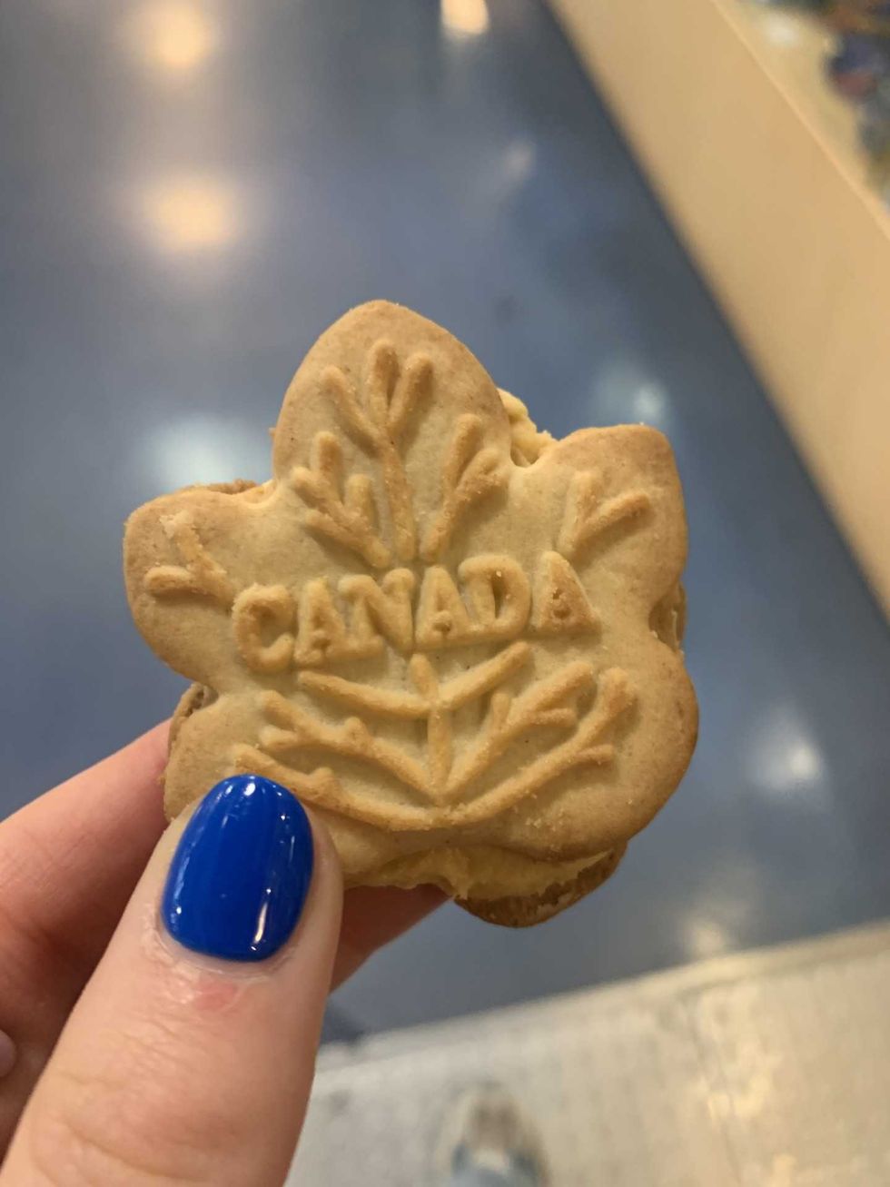 A maple cream cookie in the shape of a maple leaf.
