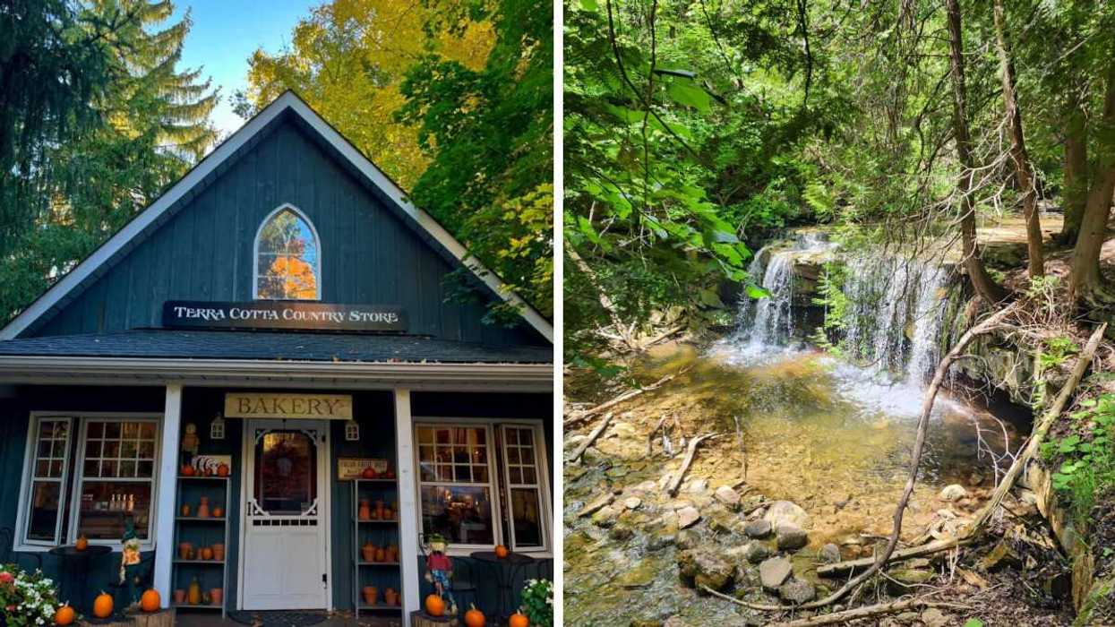 A market with pumpkins. Right: A waterfall in a forest.