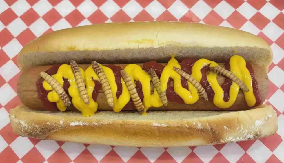 A mealworm hotdog.