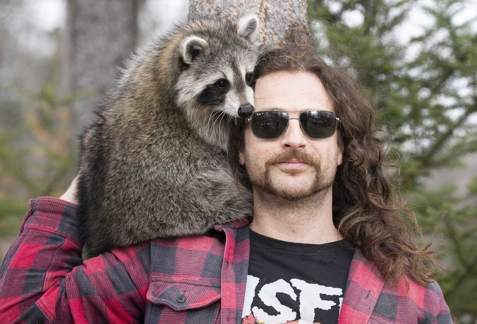A Montreal man and his raccoon are on the run