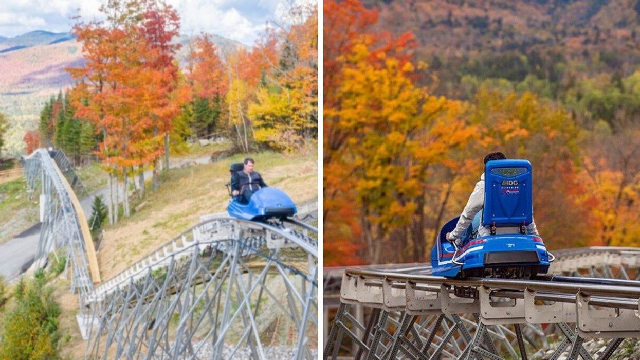 A mountain coaster during the fall.