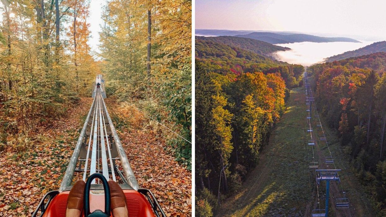 A mountain coaster travelling through fall foliage. A chair lift on a mountain.