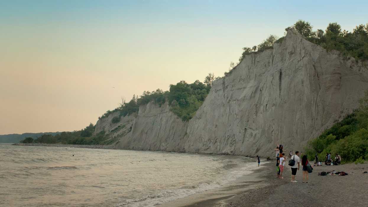 A Movie Filming In Toronto Had A Massive Animal On Set At Scarborough Bluffs
