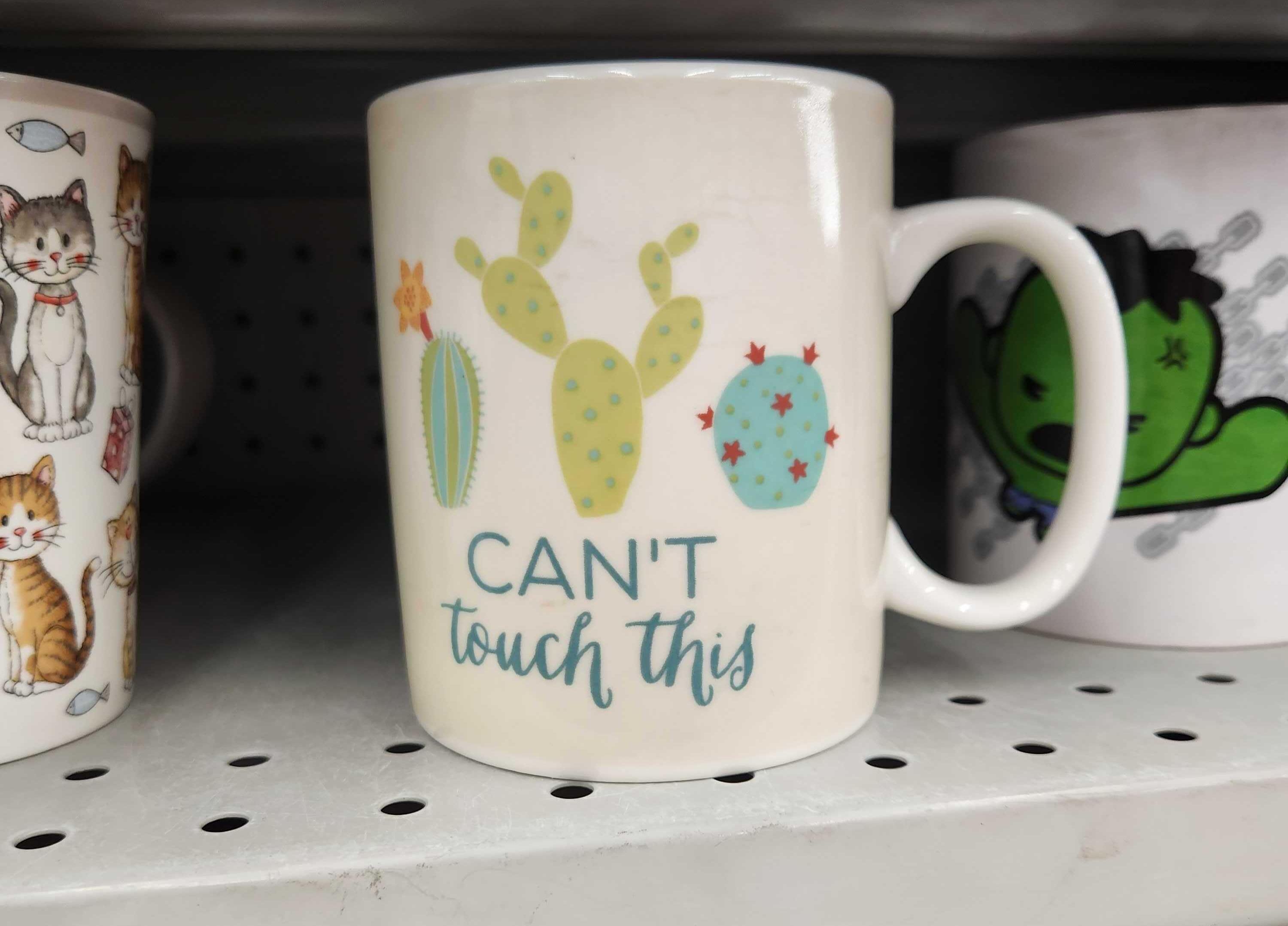 A mug with succulents as a design.