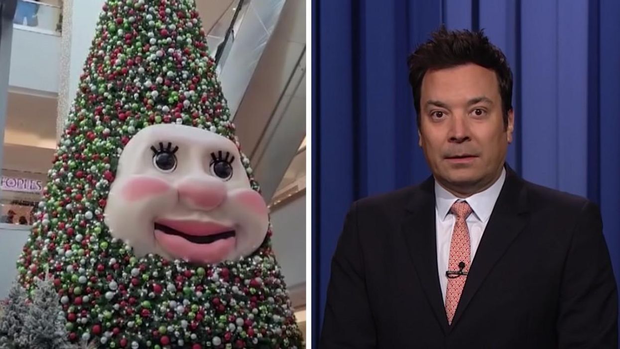 A Nova Scotia Christmas Tree Was Roasted By Jimmy Fallon & Honestly, It Deserves It (VIDEO)