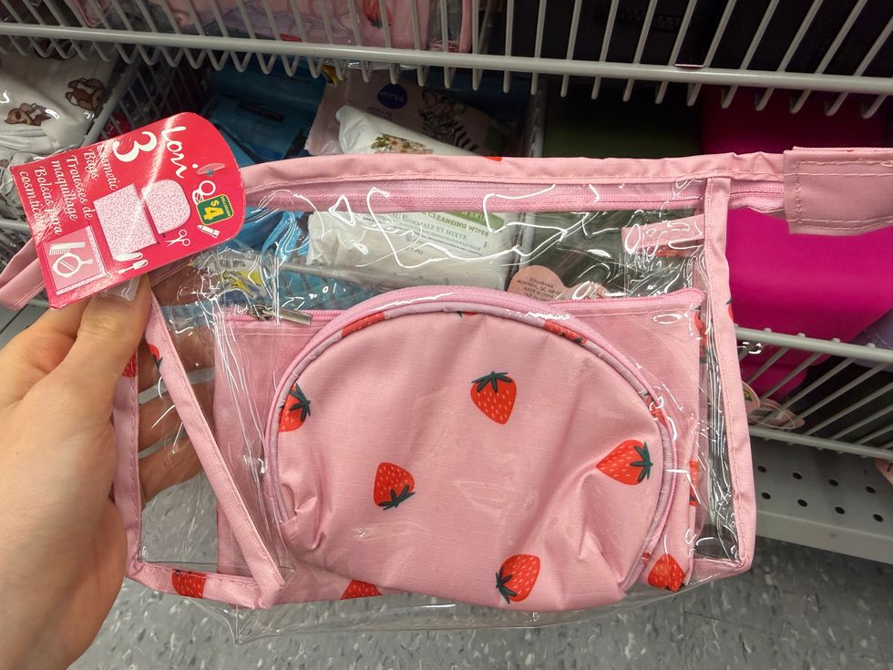 A pack of three cosmetic bags from Dollarama.