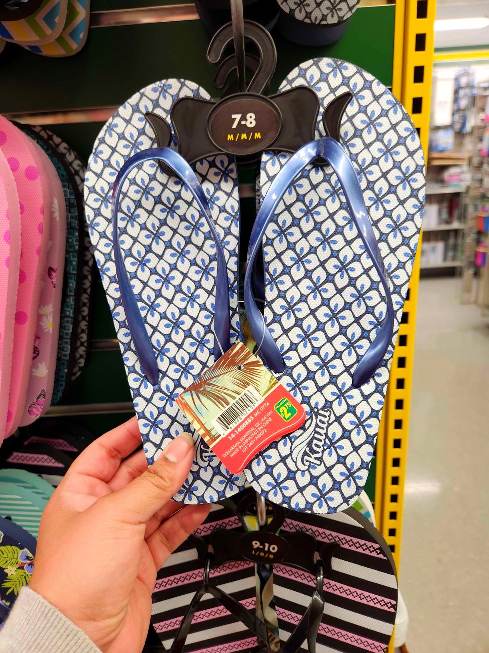 A pair of flipflops from Dollarama.