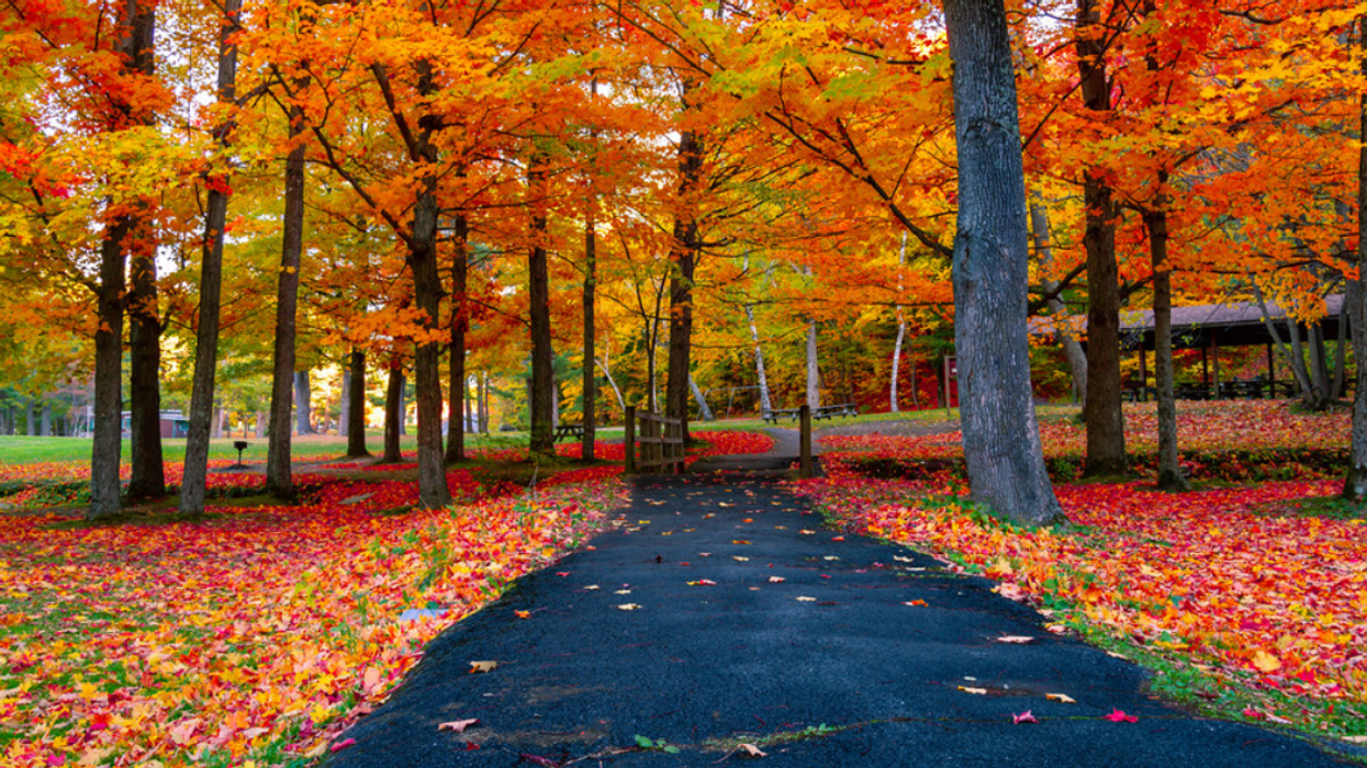 A park with colorful fall foliage.