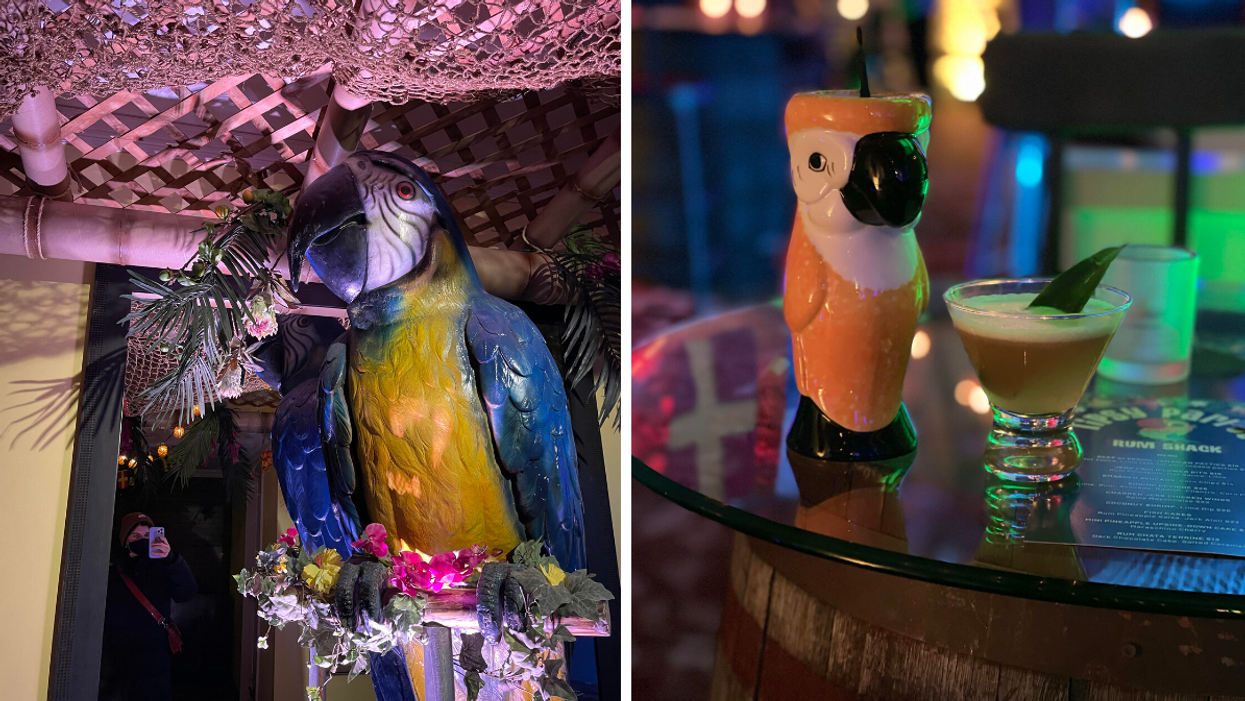 A parrot decoration at the Tipsy Parrot Rum Shack. Right: Two drinks served at the Rum Shack.