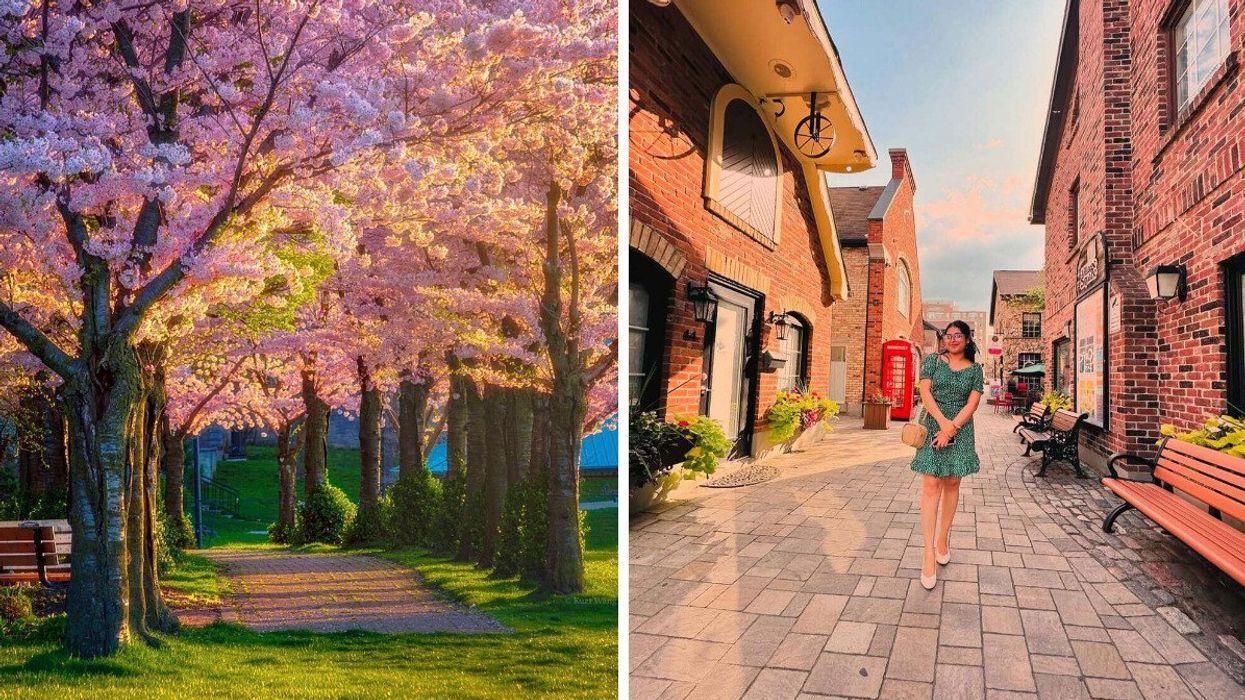 A pathway lined with cherry blossom trees. Right: A person standing on a quaint street.