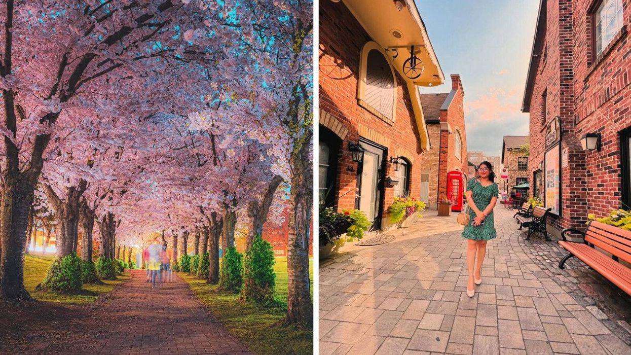 A pathway lined with cherry blossom trees. Right: A person standing on cobblestone street.