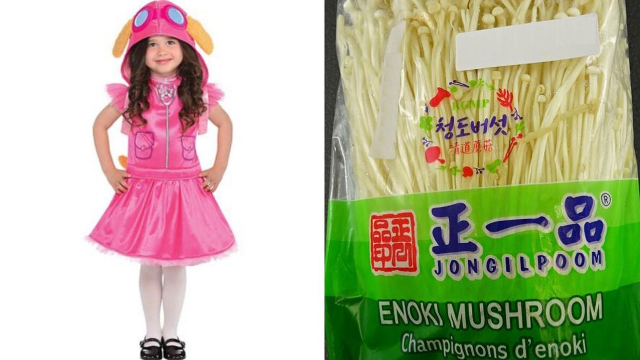 A Paw Patrol Costume Which Is A Fire Risk & 6 Other Items Are Being Recalled Right Now