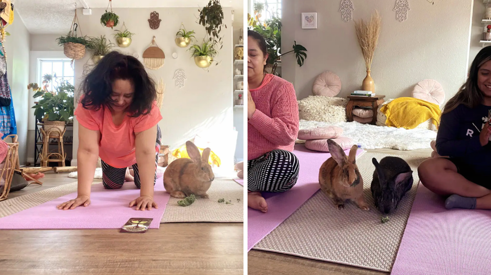 A person doing yoga with a bunny. Right: Two people doing yoga with two bunnies.