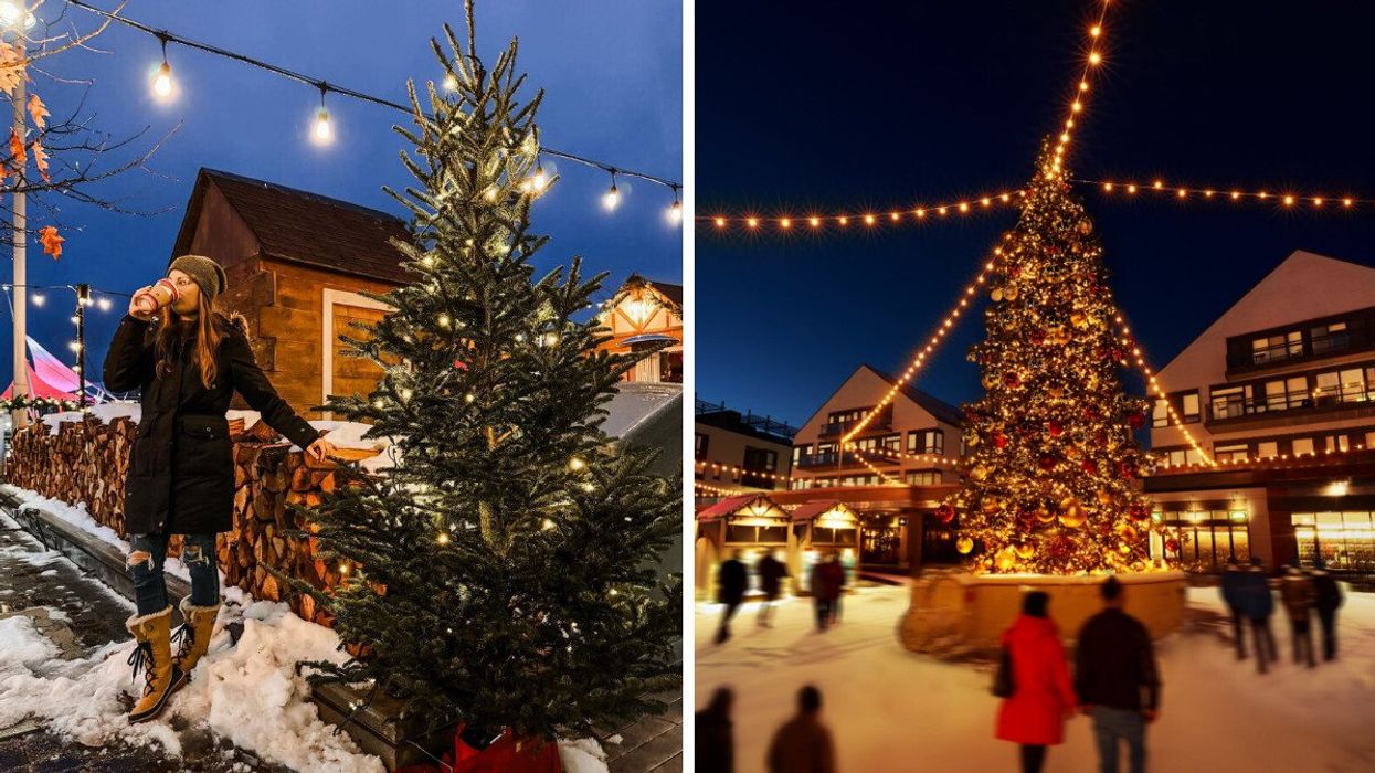 A person drinking from a coffee cup by Christmas decor. Right: People walking by a tall Christmas tree.