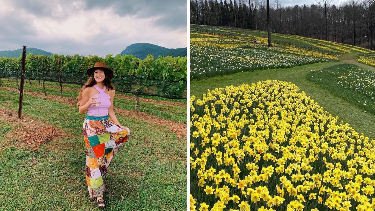 A person drinking wine at Yonah Mountain Vineyards. Right: Gibbs Gardens.