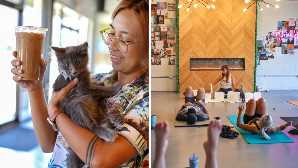 A person holding a cat and coffee. Right: Cat yoga event partnered with the cat café.