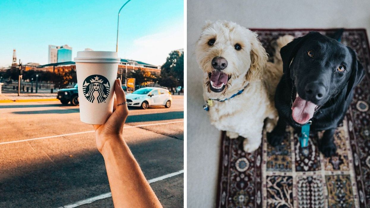 A person holding a Starbucks coffee. Right: Two dogs.