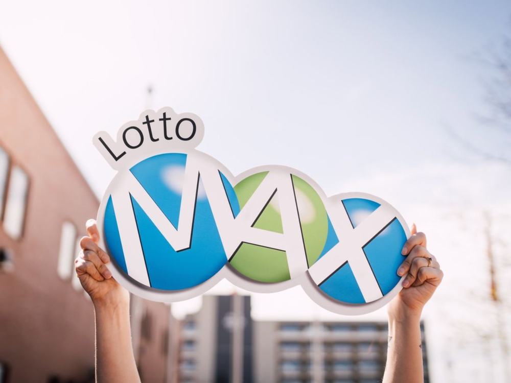 Check lotto max winning numbers deals