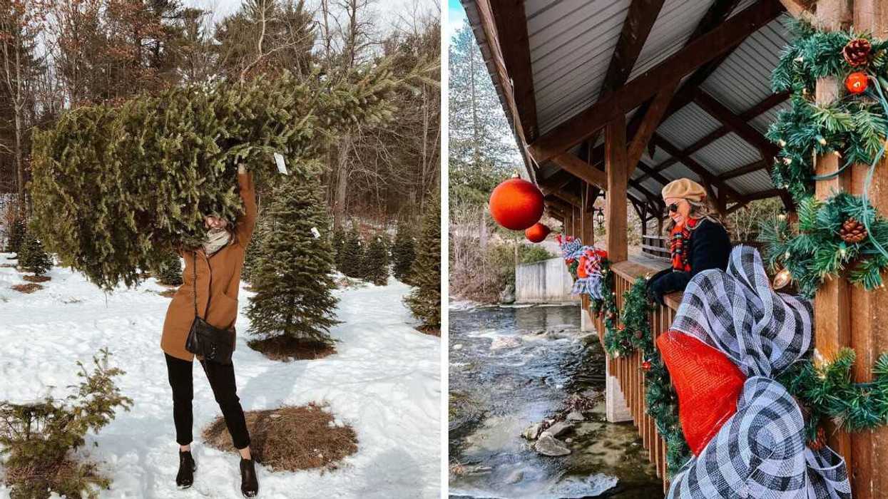 A person holds a Christmas tree at a farm near Ottawa. Right: Christmas decor at a Christmas tree farm near Ottawa. 
