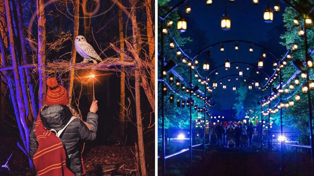 A person holds up a wand in the 'Harry Potter' Forbidden Forest Experience. Right: A trail in the experience.