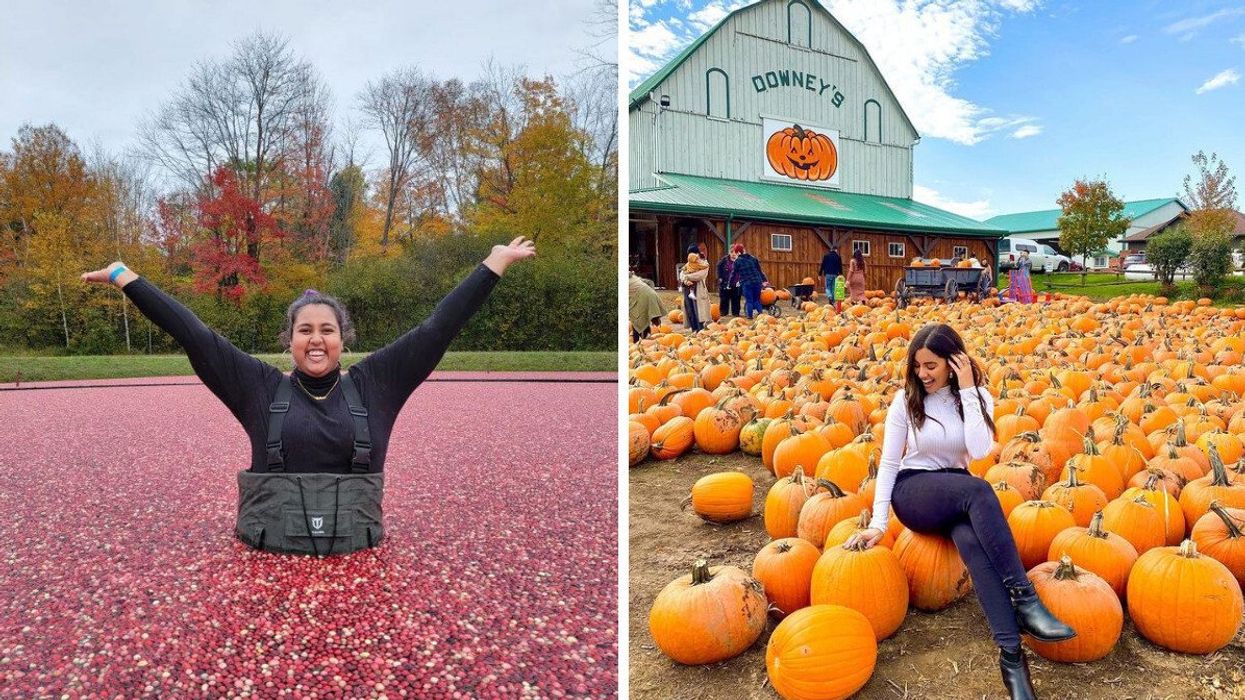 A person in a cranberry bog. Right: A person at a pumpkin farm.