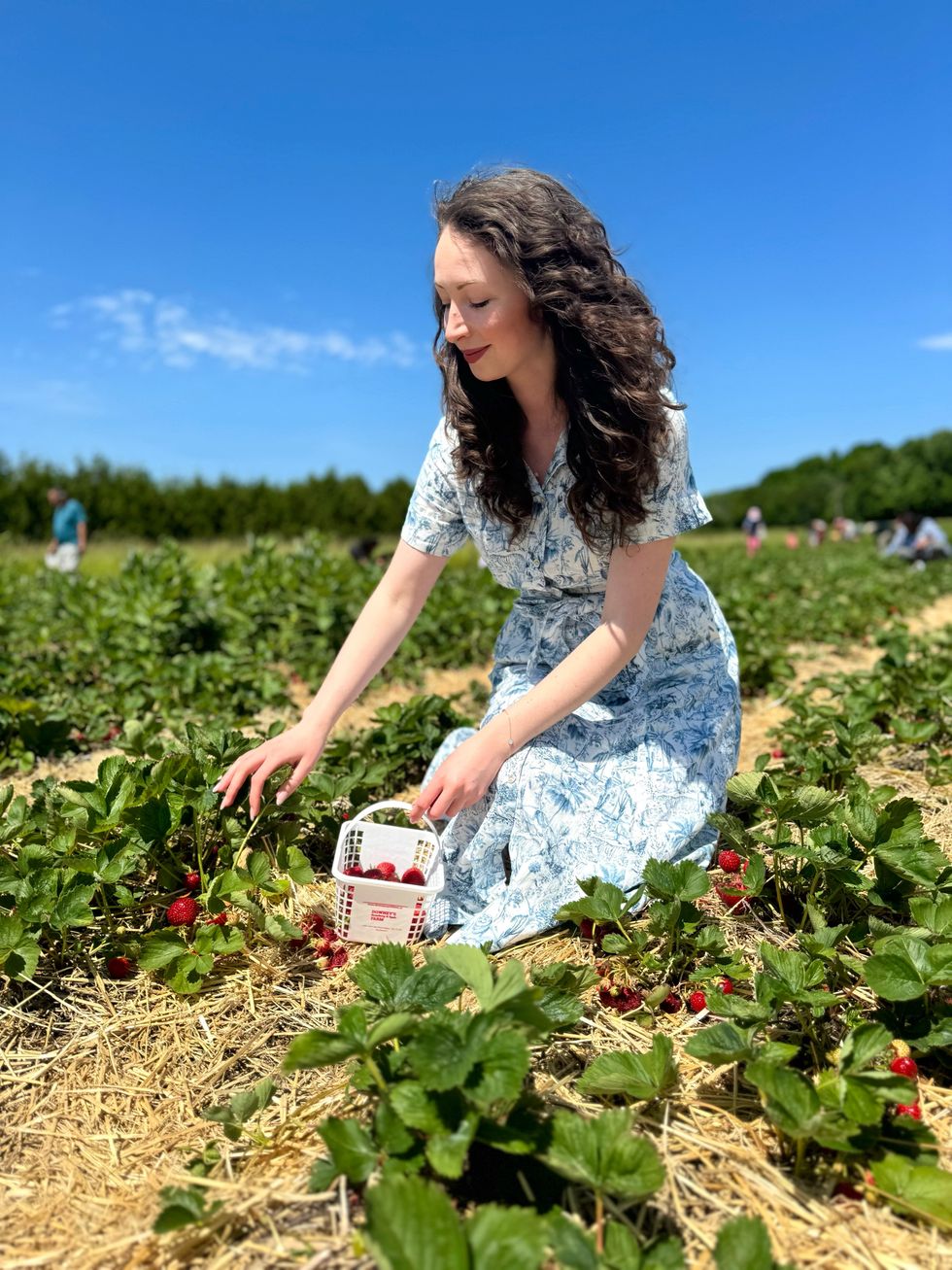 A person in a dress picking berries.